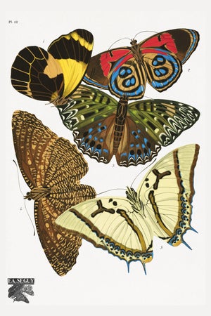 Art Deco Butterflies by E. A. Séguy, Vintage Art Print Reproduction, 40" X 60"