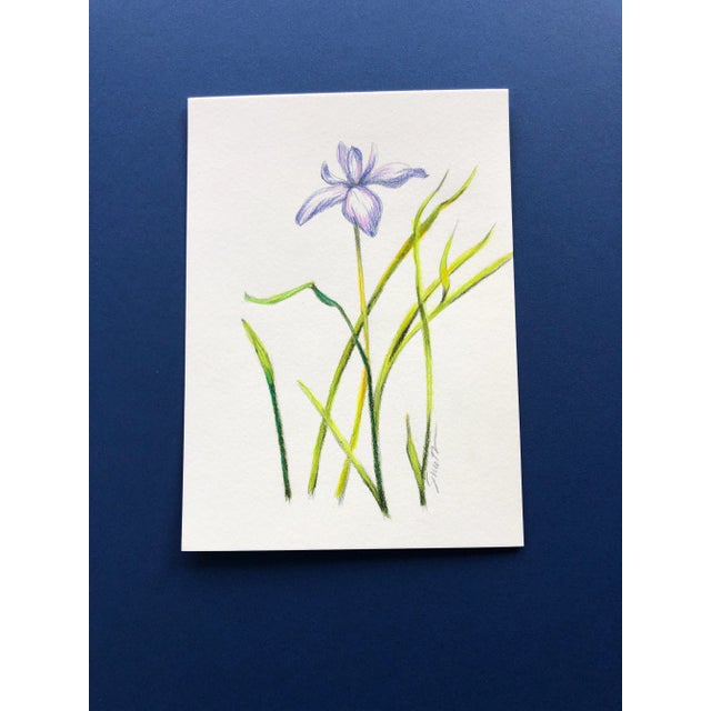 What a gift to find violets in the wild. This is a colored pencil botanical, signed and ready to frame.