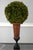 Traditional Pair of Wildwood Accents Topiary Urns For Sale - Image 3 of 9