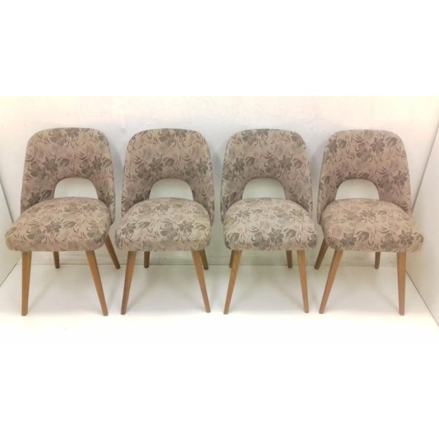 Dining Chairs by Oswald Haerdtl, 1950s, Set of 4 For Sale - Image 13 of 13