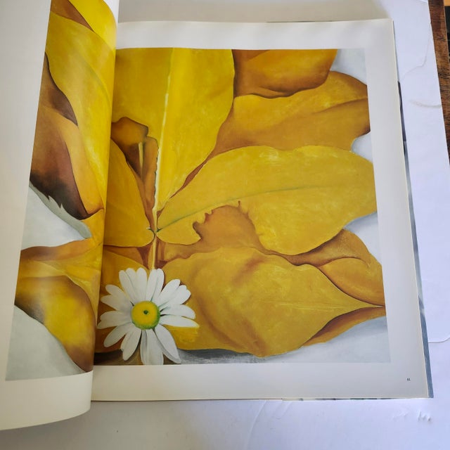 1987 Georgia O'Keeffe : One Hundred Flowers. Knopf, 1st Edition Large Hardback For Sale In Los Angeles - Image 6 of 13