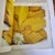 1987 Georgia O'Keeffe : One Hundred Flowers. Knopf, 1st Edition Large Hardback For Sale In Los Angeles - Image 6 of 13
