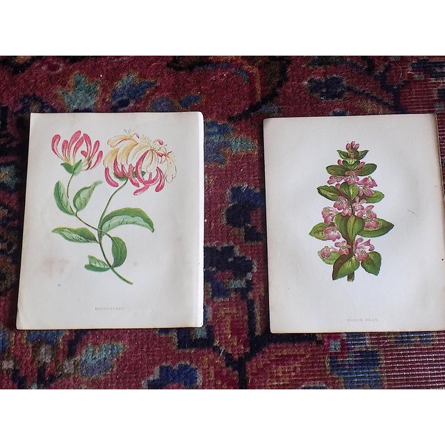 This set of twelve (12) authentic antique 19th century chromolithographs (each color laid in with a separate lithographic...