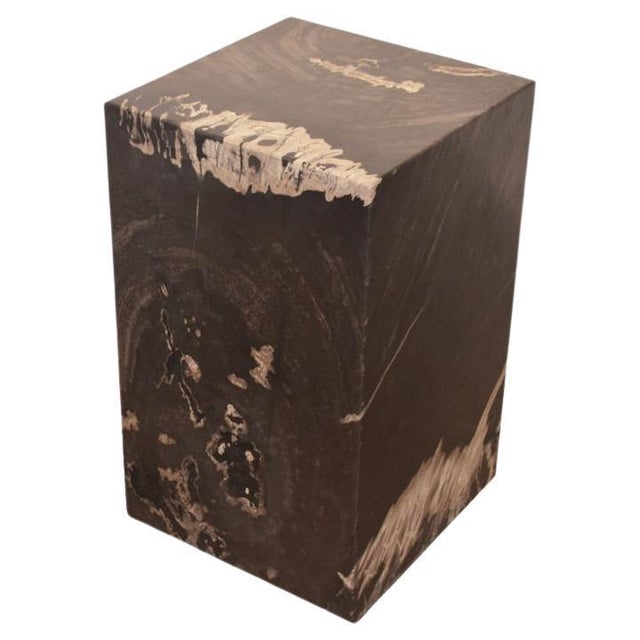 Andrianna Shamaris Minimalist Petrified Wood Side Table For Sale - Image 15 of 18