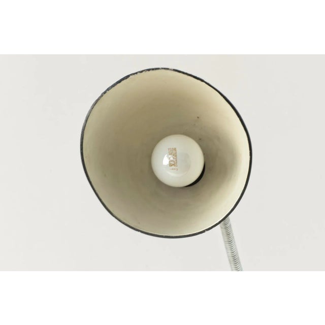 1920s Floor Lamp by Christian Dell for Belmag, Switzerland, 1928 For Sale - Image 5 of 18