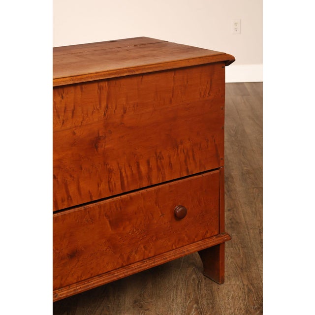 Antique American Country Birdseye Maple Blanket Chest With Lower Drawer For Sale - Image 11 of 18