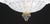 Amsterdam Palmetta, Italian Murano Glass Ceiling Light or Flush Mount, 1970s For Sale - Image 10 of 16