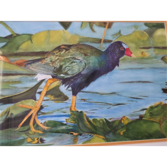 Traditional 1970s "Purple Gallinule Bird in Pond" Watercolor Painting, Framed For Sale - Image 3 of 13