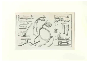 Lorenz Heister, Surgical Instruments, Etching, 1750