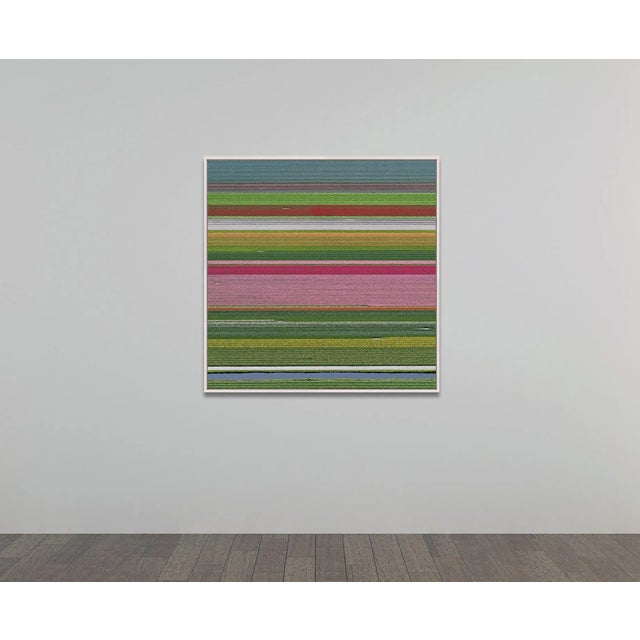"AV_Tulip_Fileds_014" Contemporary Limited Edition Fine Art Photograph Print by Bernhard Lang For Sale - Image 9 of 10