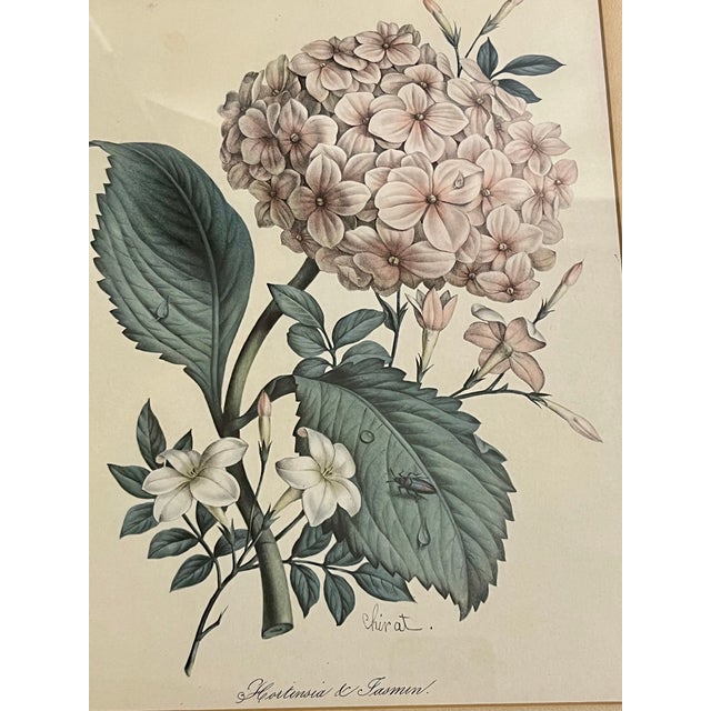 Pair Vintage English Country House Framed Floral Botanical Prints After Redoute and Chirat For Sale - Image 14 of 14