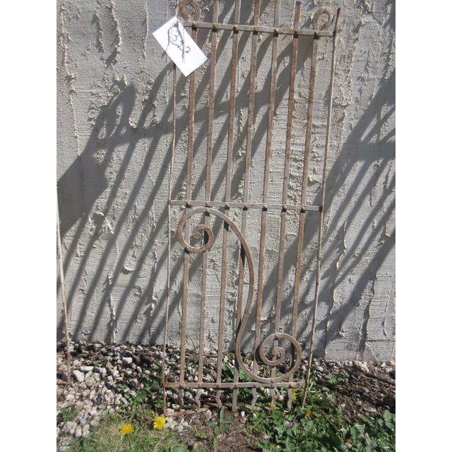 Antique Victorian Iron Gate Window Panel Fence Architectural Salvage Door For Sale - Image 4 of 6