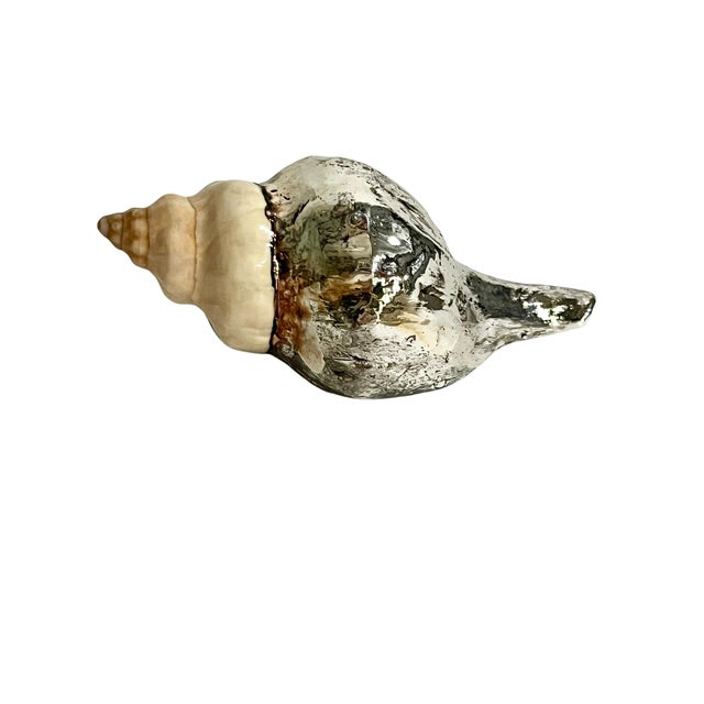 Vintage partially silvered conch shell in the style of Bucellati and Creel and Gow. 5” long