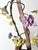Italian Gilt Iron Five-Light Chandelier with Porcelain Flowers, 1930 For Sale - Image 10 of 18