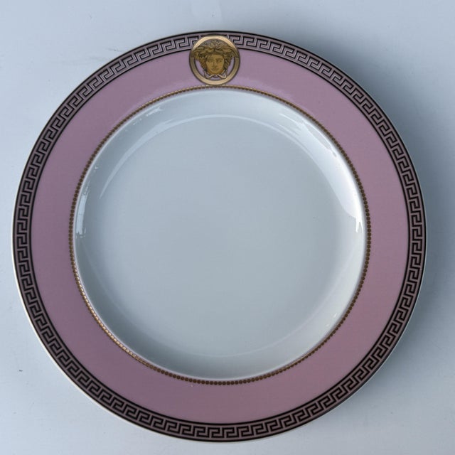 Rosenthal Color Pink Salad Dessert Plate by Versace for Rosenthal, 1990 For Sale - Image 4 of 4