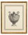 Mid 20th Century Set of Six Neoclassical Style Etchings After Carlo Antonini. Italy, 20th Century For Sale - Image 5 of 11