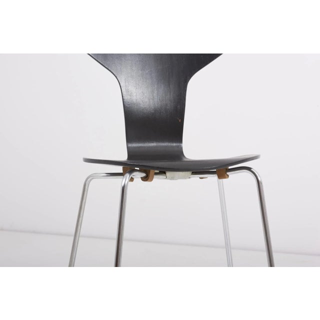Mosquito Munkegård Dining Chairs by Arne Jacobsen for Fritz Hansen, Denmark, 1950s, Set of 3 For Sale - Image 12 of 15