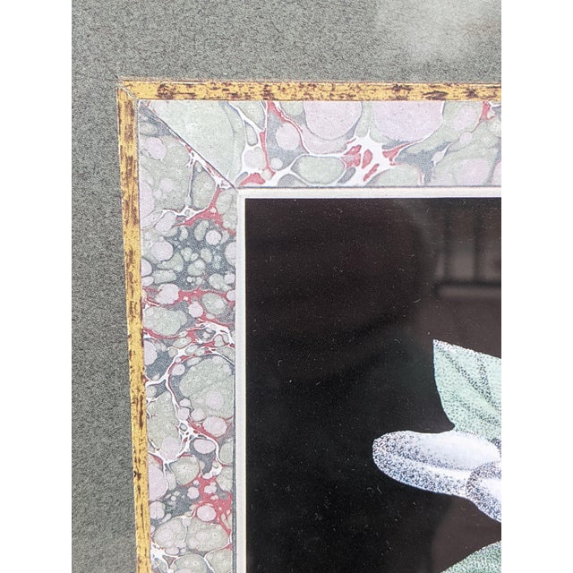 Vintage Chelsea House Lemon Print With Marbled Border Framed For Sale In Charlotte - Image 6 of 7
