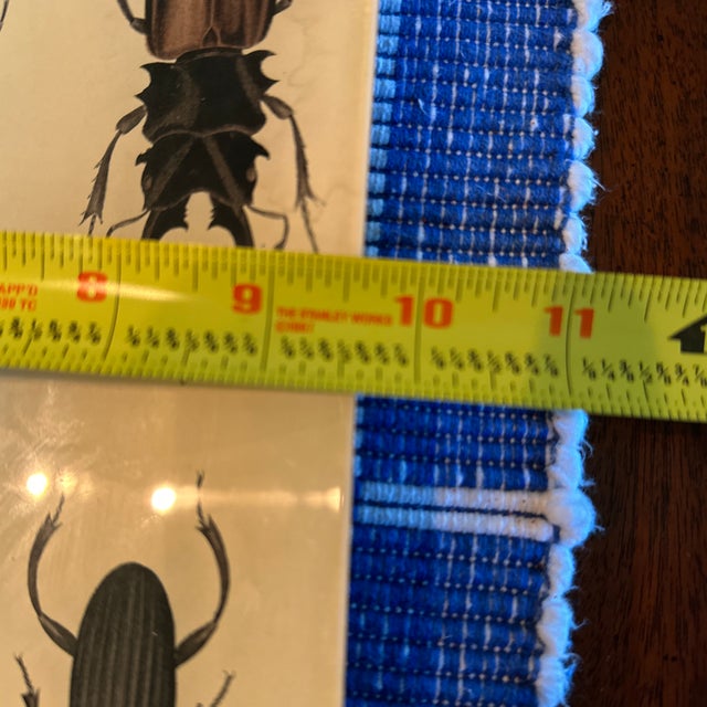 1990s John Derian Rectangular Beetle Tray For Sale - Image 12 of 12