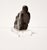 1970s Canadian Inuit Stone Sculpture, 1970s For Sale - Image 5 of 9