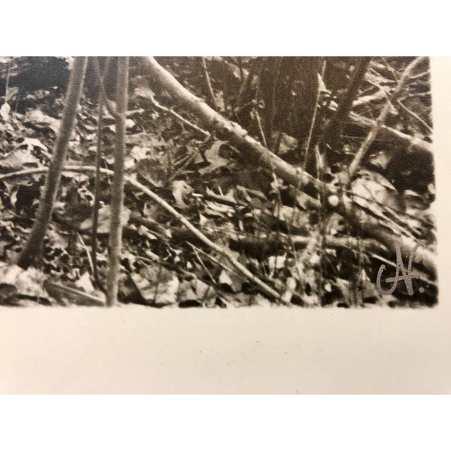 Modern Nona HatayVintage Silver Gelatin Old Car Wreck Photographer Nona Hatay For Sale - Image 3 of 3