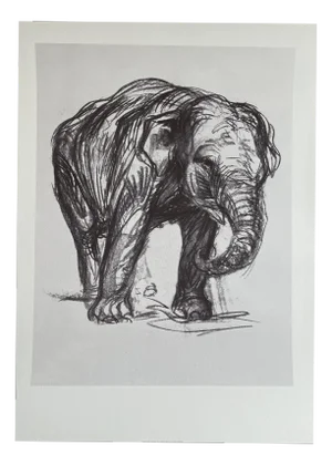Franz Marc, Elefant, Print