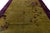 Antique 1920s Art Deco Chinese Rug in Chartreuse Olive and Imperial Violet 9x12 For Sale - Image 10 of 12