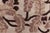 Ivory Authentic 19th Century Chinese Carpet Doris Leslie Blau For Sale - Image 8 of 9