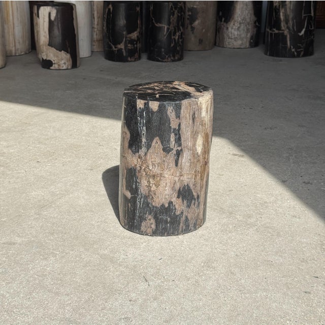 Small Side Table in Black Petrified Wood with Beige Striations, 1980s For Sale - Image 13 of 18