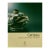 Catteau, Claire de Pauw Donation, French Book, Exhibition 2001 For Sale