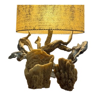 Pair of Incredible Natural Sea Sponge Specimens For Sale