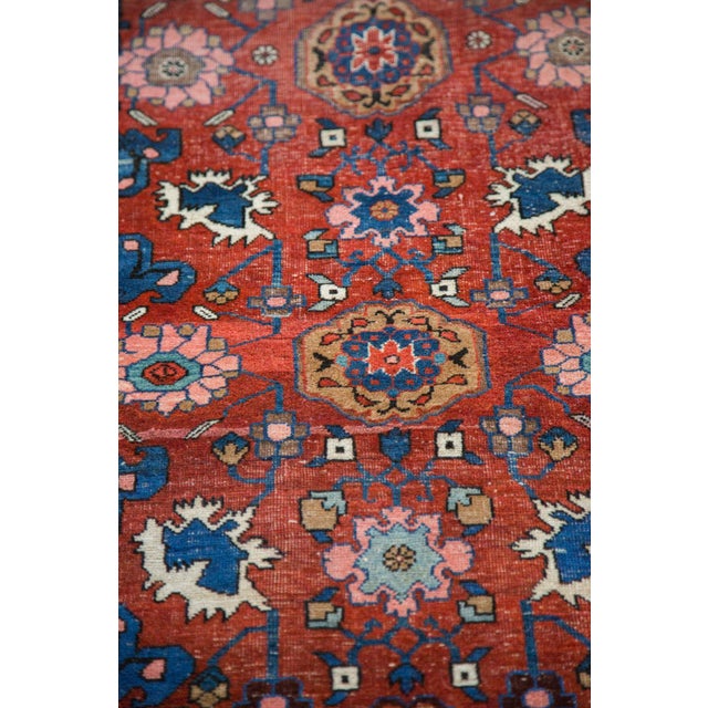 :: Stunning antique Halvai Bidjar vintage 1910's, 20's in an allover harshang design- Lovely shades in a wide range of...