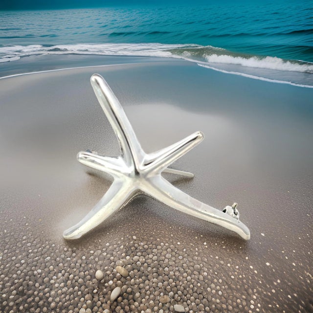 Elsa Peretti & Tiffany & Co. Tiffany & Co Estate Starfish Brooch Sterling Silver By Elsa Peretti 6.5g For Sale - Image 4 of 11