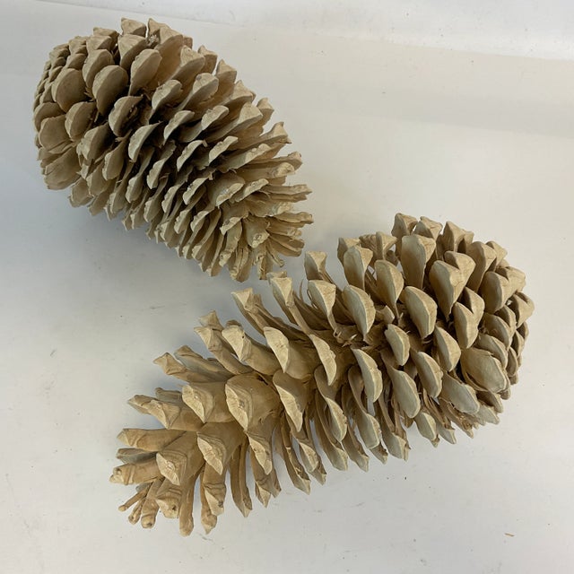 Vintage Arts & Crafts Farmhouse Americana Bleached Pinecones - a Pair For Sale - Image 9 of 11