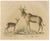 Karl Joseph Brodtmann, Antelope, 1816, Lithograph For Sale - Image 9 of 9