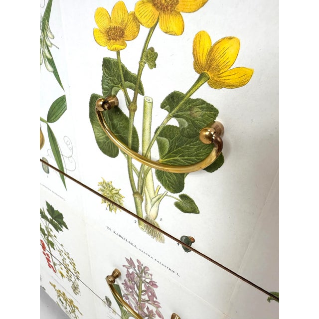1950's Swedish Dresser With Nordens Flora Illustrations For Sale In Boston - Image 6 of 9
