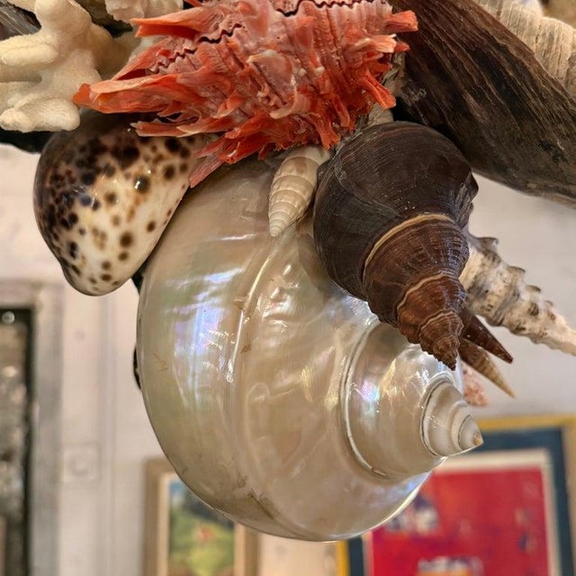 1990s Coastal Grand French Hand-Crafted Grotto Nautical Multi-Stem Coral Shell Chandelier For Sale - Image 11 of 16