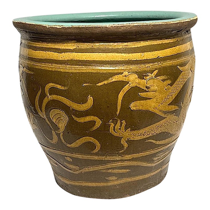 鉢 DRAGON EGGS POT five_elements_plants（Sold at Auction