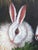 Wood Vintage Rabbit Oil Painting in Brown, Cream & Green With Carved Gilt Wood Frame For Sale - Image 7 of 14