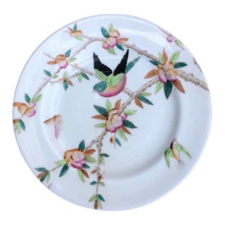 Antique w.a.a. William a Adderley Hand Painted Bird Bone China Salad Plate Thorn For Sale
