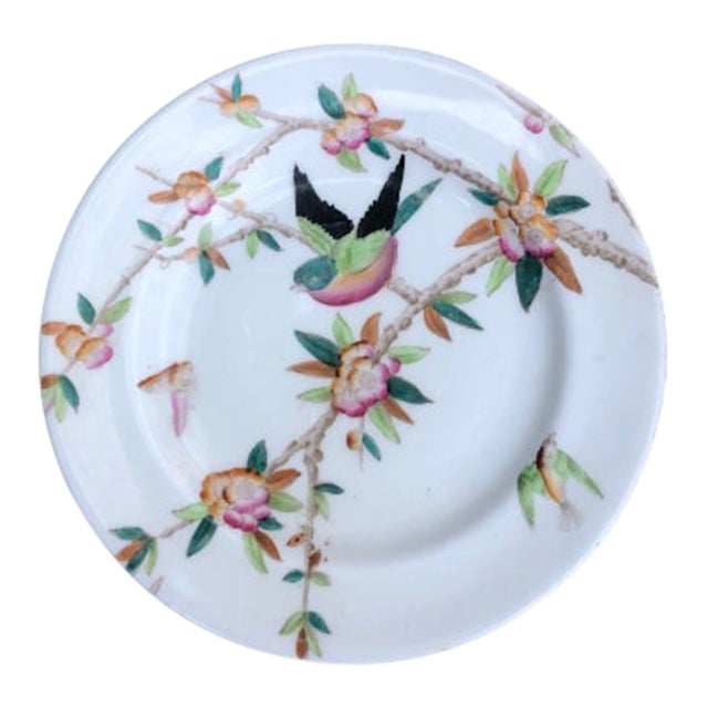 Antique w.a.a. William a Adderley Hand Painted Bird Bone China Salad Plate Thorn For Sale