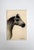 An original miniature ink drawing of a horse’s head by M. B. Sharma, an artist from India. Executed in ink on synthetic...
