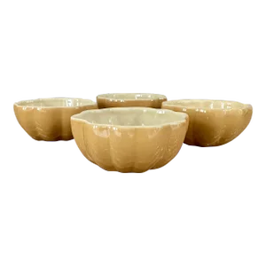 Vintage Pumpkin Squash Ceramic Bowls