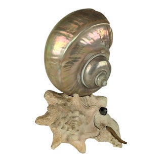 Deco Nautilus and Conch Shell Lamp For Sale