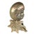 Deco Nautilus and Conch Shell Lamp For Sale