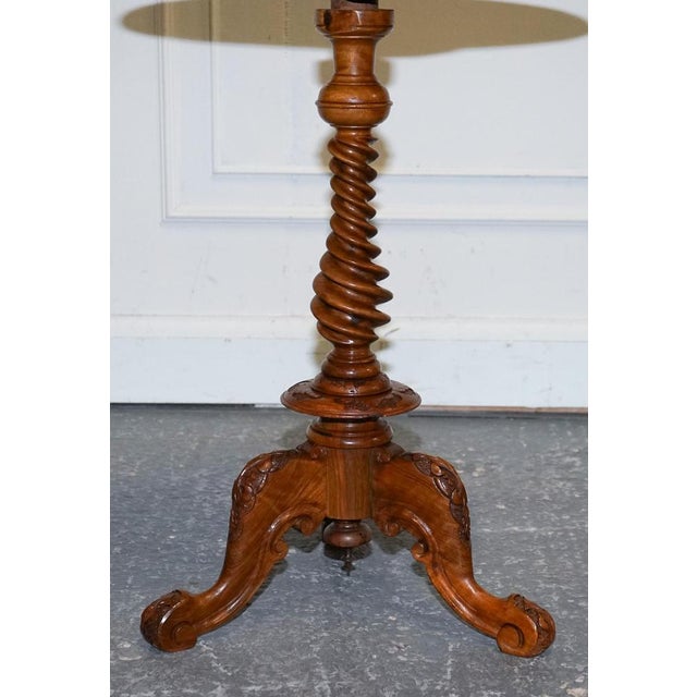 Antique Marquetry Burr Walnut Pedestal For Sale - Image 4 of 13