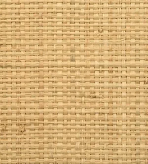 Hinson for The House of Scalamandre Hinson Madagascar Coarse Wallcovering, Natural