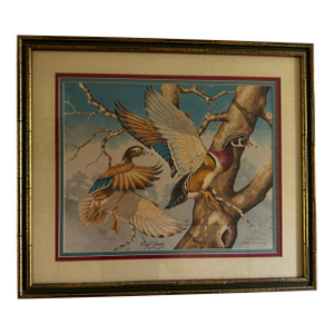 1980s Signed Jim Oliver Print of 2 Wood Ducks in Gorgeous Gold Bamboo Frame
