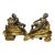 18th C. French Louis XV Gilt and Bronze Chenets Andirons-a Pair For Sale
