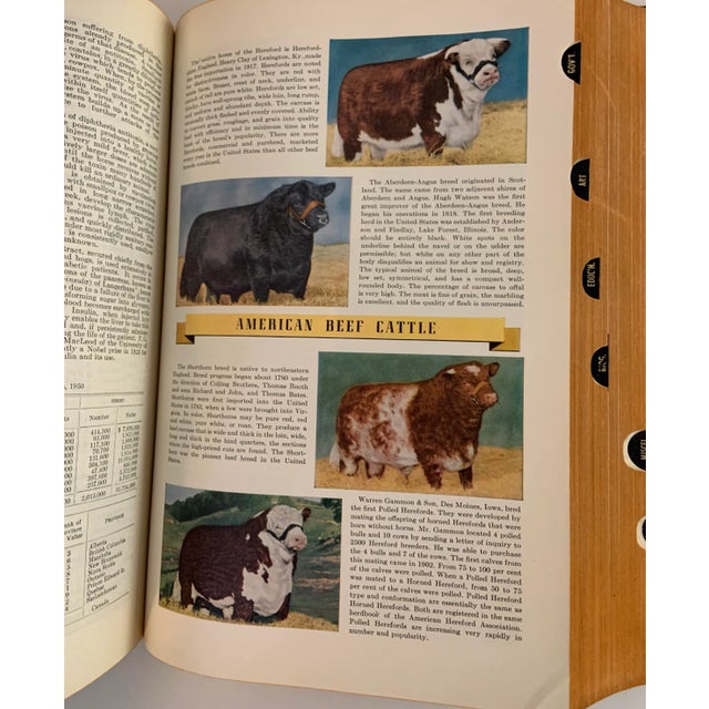 1959 Lincoln Library Essential Knowledge Book For Sale - Image 12 of 13